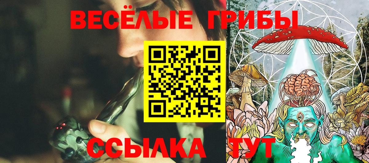 Псилоцибиновые грибы мицелий Бийск